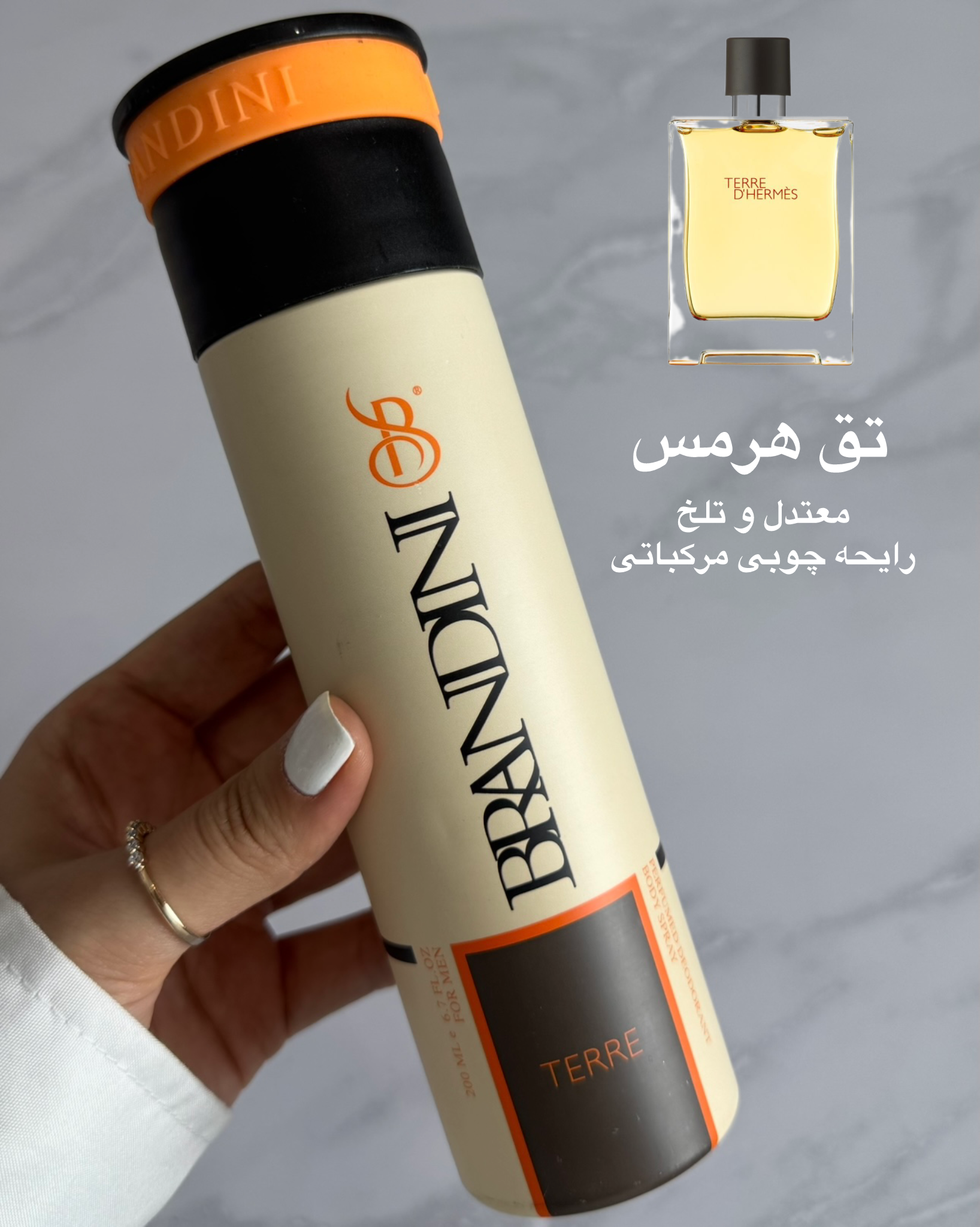 اسپری مردانه برندینی رایحه تق هرمس ۲۰۰ میل